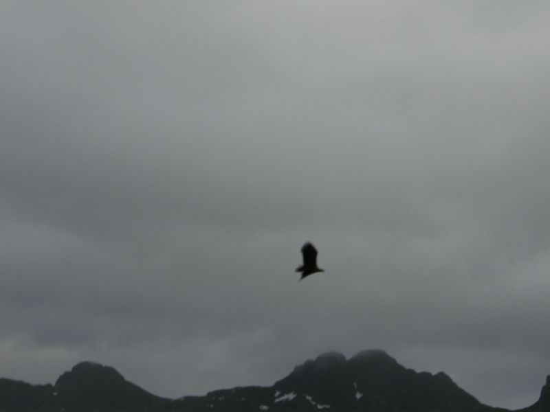 Nordkap 2009 411.jpg
